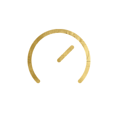 Performance icon